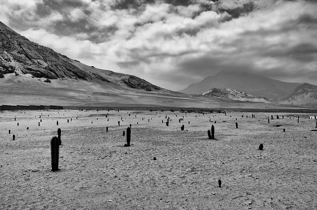 Peruvian Experience recovering Proceeds from Corruption